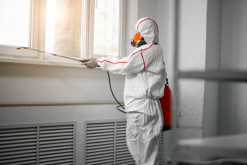 Professional mold remediation services in Brooklyn, CT
